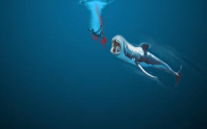 Fotos Unterwasserwelt Haie
