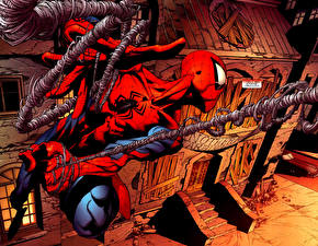 Bakgrundsbilder på skrivbordet Superhjältar Spider-Man superhjälte Fantasy