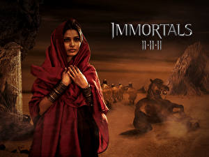 Bakgrunnsbilder Immortals 2011