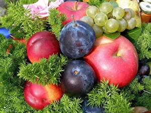 Bureaubladachtergronden Fruit Pruimen Voedsel