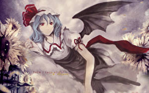 Pictures Touhou Collection