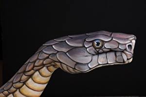 Fotos Kreative Schlangen Hand