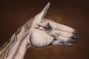Wallpaper Creative Horses Hands