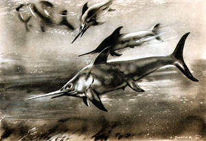 Hintergrundbilder Alte Tiere Alte  Unterwassertiere  Tiere