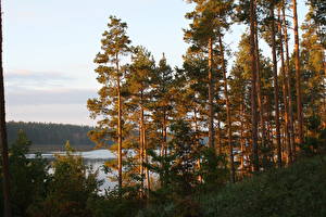 Bakgrunnsbilder Innsjø Litauen  Natur