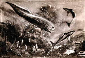 Bakgrundsbilder på skrivbordet Forntida djur Forntida djur under vatten  Djur