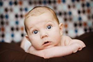 Papel de Parede Desktop Bebê Ver Crianças