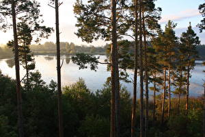 Bakgrunnsbilder Innsjø Litauen  Natur