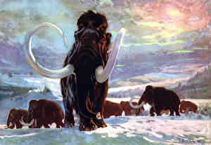 Bakgrundsbilder på skrivbordet Forntida djur Mammutar Djur