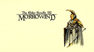 Bureaubladachtergronden The Elder Scrolls The Elder Scrolls III: Morrowind Computerspellen
