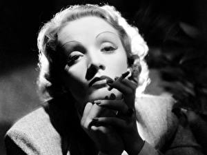 Fonds d'écran Marlene Dietrich