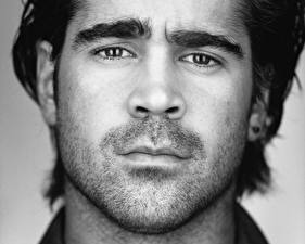 Tapety na pulpit Colin Farrell Celebryci