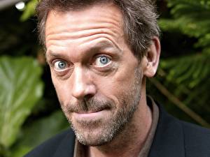 Picture Hugh Laurie