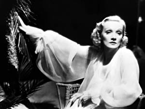 Bureaubladachtergronden Marlene Dietrich