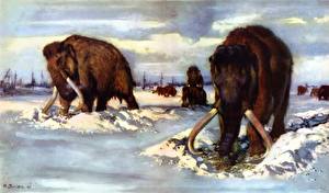 Sfondi desktop Animali antichi Mammuthus Animali
