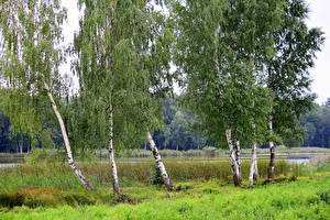 Bakgrundsbilder på skrivbordet Insjö Litauen  Natur