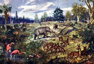 Tapety na pulpit Starożytne zwierzęta The miocene landscape