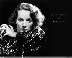 Fonds d'écran Marlene Dietrich