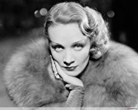 Bureaubladachtergronden Marlene Dietrich Beroemdheden