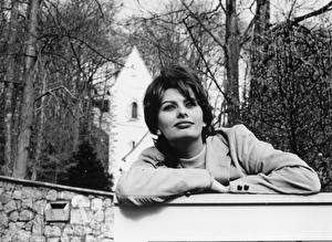 Hintergrundbilder Sophia Loren