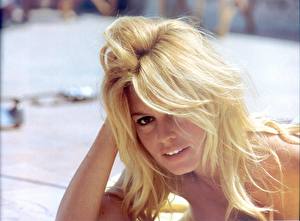 Bakgrundsbilder på skrivbordet Brigitte Bardot Kändisar