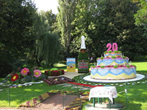 Фото Много Украина Фестиваль цветов в Киеве 2011г. Цветы