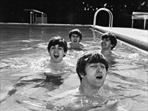 Bureaubladachtergronden The Beatles Zwembad Zwemmen  Muziek Beroemdheden