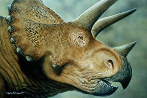 Papel de Parede Desktop nimais antigos Dinossauros Tricerátopo Animalia