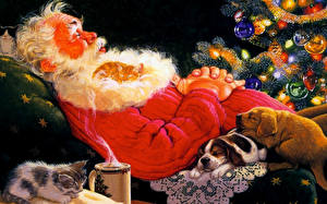 Bakgrunnsbilder Helligdager Nyttår Julenissen Skjegg