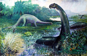 Tapety na pulpit Starożytne zwierzęta Dinozaur Brontosaurus Zwierzęta
