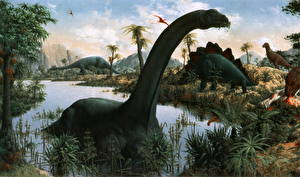 Tapety na pulpit Starożytne zwierzęta Dinozaur Brontosaurus
