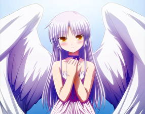 Bakgrundsbilder på skrivbordet Angel Beats Anime Unga_kvinnor