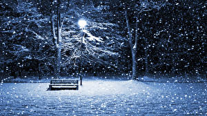 桌面壁纸，，季节，冬季，雪，长凳，街燈，，大自然