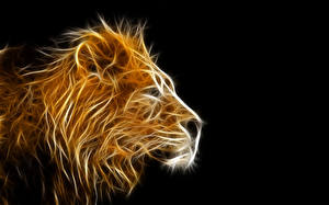 Picture Lions Big cats Head 3D Graphics Animals