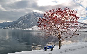 Images Seasons Winter Mountain Snow Bench Nature