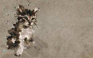 桌面壁纸，，家貓，绘制壁纸，動物