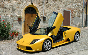 Papel de Parede Desktop Lamborghini Porta aberta automóveis