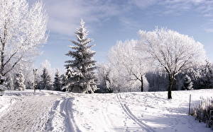 Photo Seasons Winter Snow