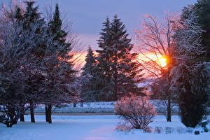 Fotos Jahreszeiten Winter Morgendämmerung und Sonnenuntergang Schnee Natur