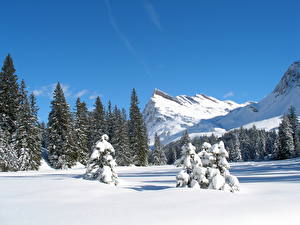 Фото Времена года Зима Небо Снега Switzerland Природа