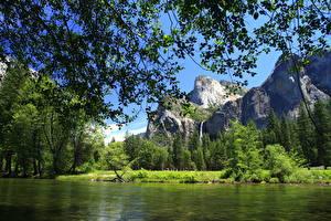 Photo Park USA Yosemite California Nature