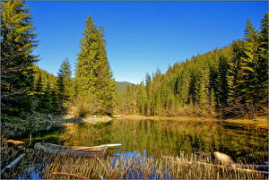Tapety na pulpit Jezioro Ukraina Las Zakarpacie Natura