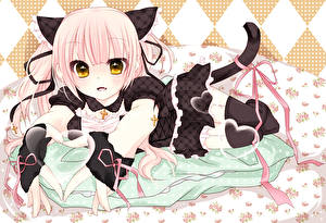 Bureaubladachtergronden Catgirl Anime Jonge_vrouwen