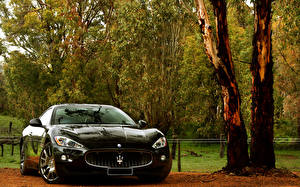 Fonds d'écran Maserati