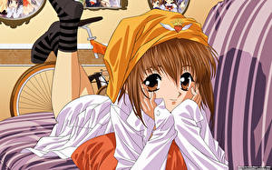 Bakgrundsbilder på skrivbordet Sister Princess Anime Unga_kvinnor
