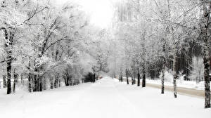 Pictures Seasons Winter Snow Nature
