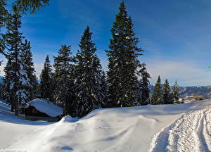 Fotos Jahreszeiten Winter Himmel Schnee Natur