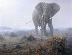 Papel de Parede Desktop Elefantes Animalia
