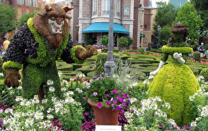 Fondos de escritorio Muchas Francia Parques La Bella y la Bestia Walt Disney flor Animación