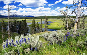 Bureaubladachtergronden Park Yellowstone Wyoming Natuur